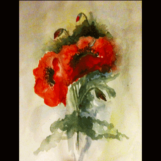 Poppies in water colour