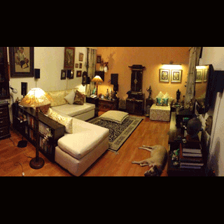 My living room <br> With my dog to complete the lived in feel! Her name is Bebo!